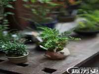 成都德鹏润科技有限公司