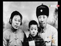 成都德鹏润科技有限公司