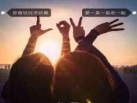 成都德鹏润科技有限公司