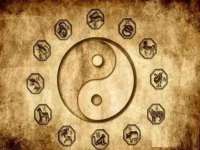 成都德鹏润科技有限公司