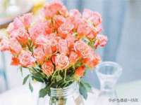 成都德鹏润科技有限公司