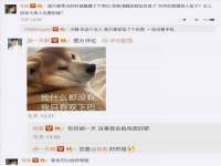 成都德鹏润科技有限公司