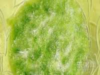 成都德鹏润科技有限公司