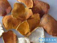 成都德鹏润科技有限公司