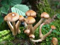 成都德鹏润科技有限公司