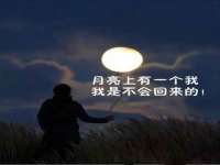 成都德鹏润科技有限公司
