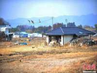 成都德鹏润科技有限公司