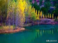 成都德鹏润科技有限公司