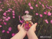 成都德鹏润科技有限公司