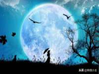 成都德鹏润科技有限公司