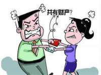 成都德鹏润科技有限公司