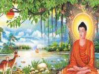 成都德鹏润科技有限公司