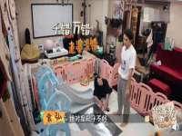成都德鹏润科技有限公司