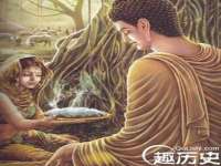 成都德鹏润科技有限公司