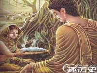 成都德鹏润科技有限公司